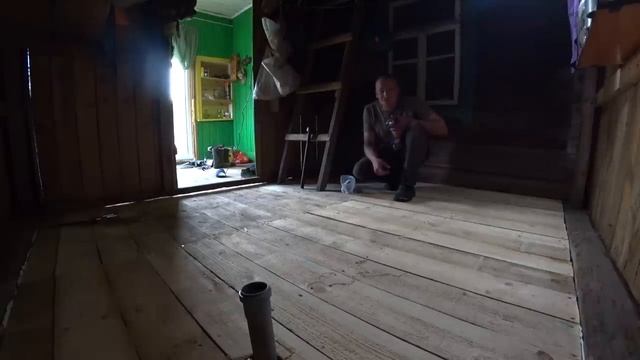 ПЛОХИЕ НОВОСТИ , ДИКИЕ ЖИВОТНЫЕ ГРАБЯТ МЕНЯ ПО НОЧАМ!
