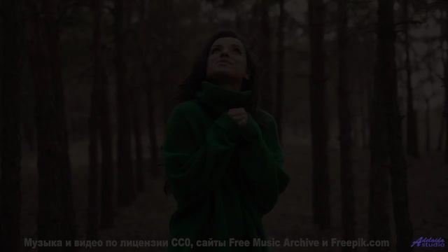 Мелодия превращает поля в магические пространства - En passant -- Phillip Gross -- Non-Music