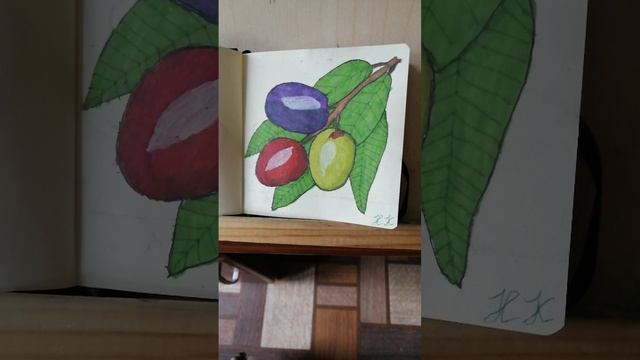 МАСЛИНЫ. Спиртовые маркеры, цветные капиллярные ручки, белый перманентный маркер, формат 12*12 см.
