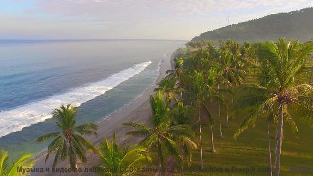 Музыка, в которой тонет сердце! - Halfway Home -- Forget the Whale -- Take to the Skies!