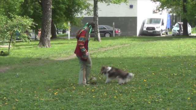 Лета май2020