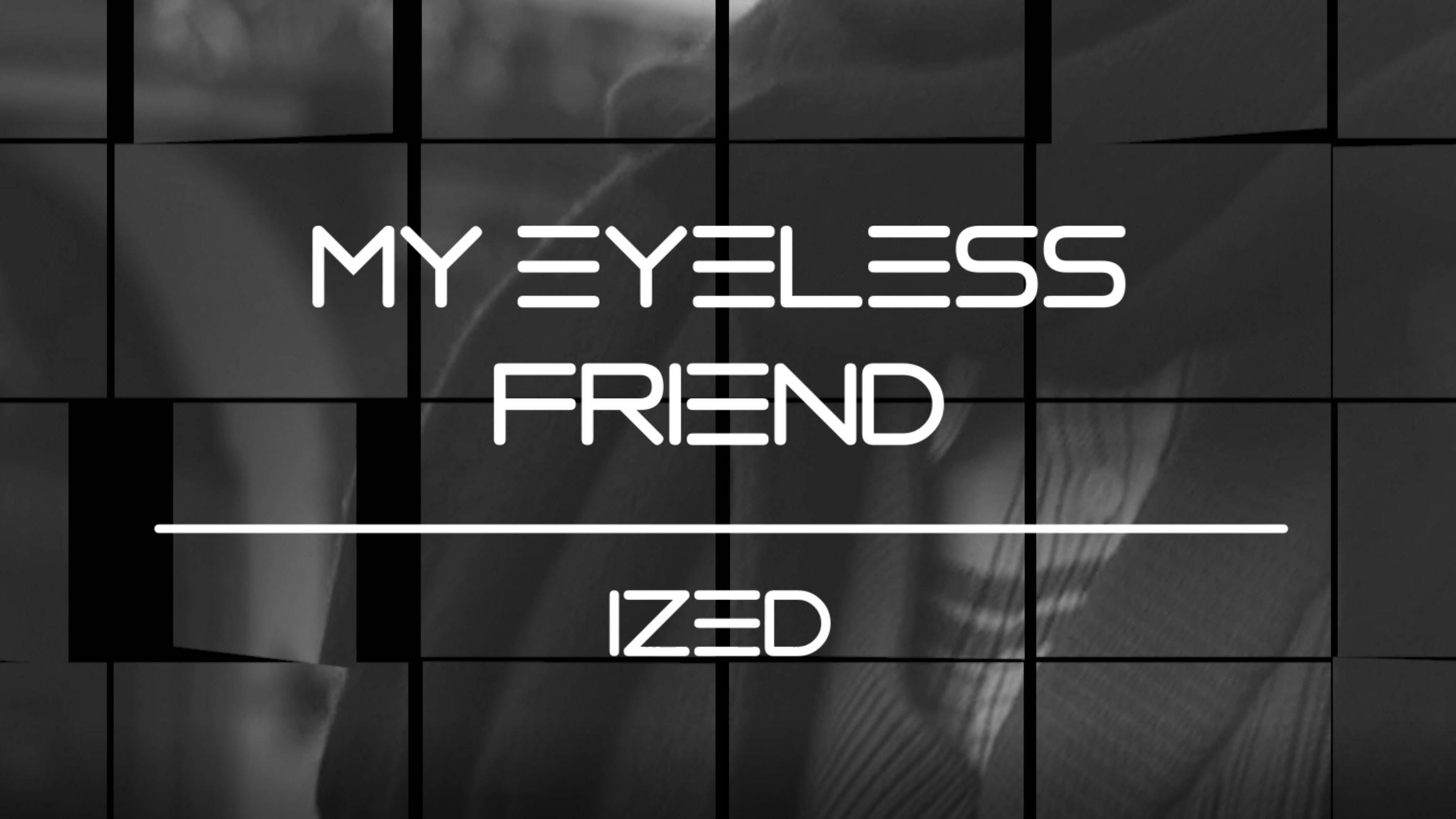 My Eyeless Friend