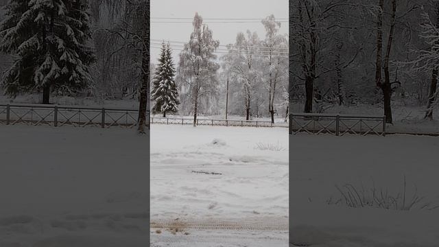 1943 год. Дорога жизни
