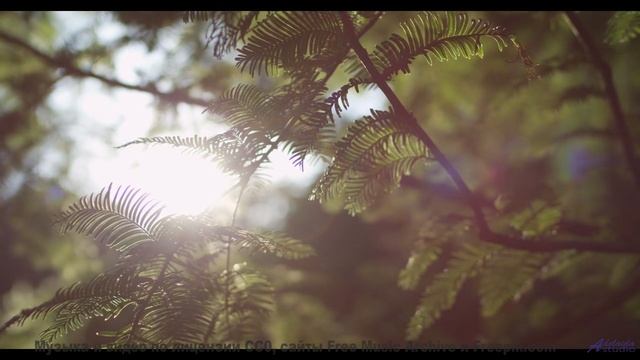 Что скрывает этот туман - Teamwork -- Scott Holmes Music -- Corporate + Motivational Background Musi