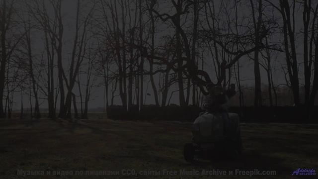 Этот трек откроет вам совершенно другую Землю - Blur And Coalesce -- Podington Bear -- The Hump (Box