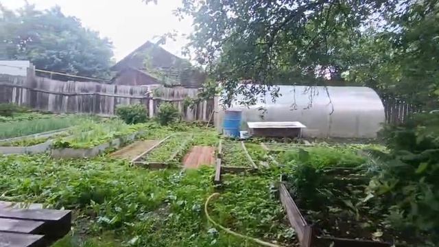 VID-20250618-WA0001