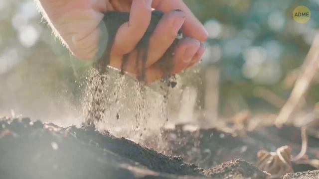 Реальные авиакатастрофы, начавшиеся с небольших ошибок