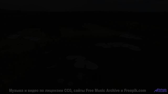Пыль, ветер в лицо и звук, который заводит как двигатель! - Rise up, none ov your Bones are broken -