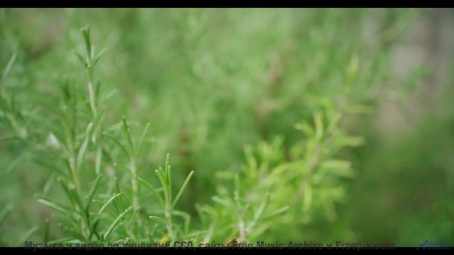 Поля расцветают при каждом аккорде этой мелодии - Praying For A Blessing -- Kirk Osamayo -- Season T