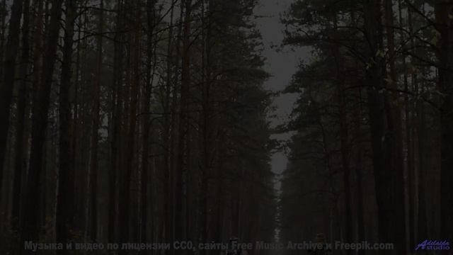 Эти пейзажи заряжают, а музыка - взрывает! - CIrcular -- Kirk Osamayo -- Season Two (PURPLE)