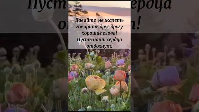 VID_20250618_214044_322.mp4