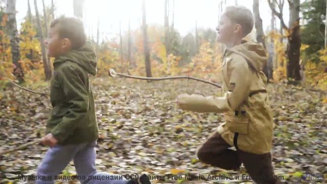 Пейзажи под этот саундтрек проникают в самую суть - Oregon -- Taylor Poe -- 10 Million Babies
