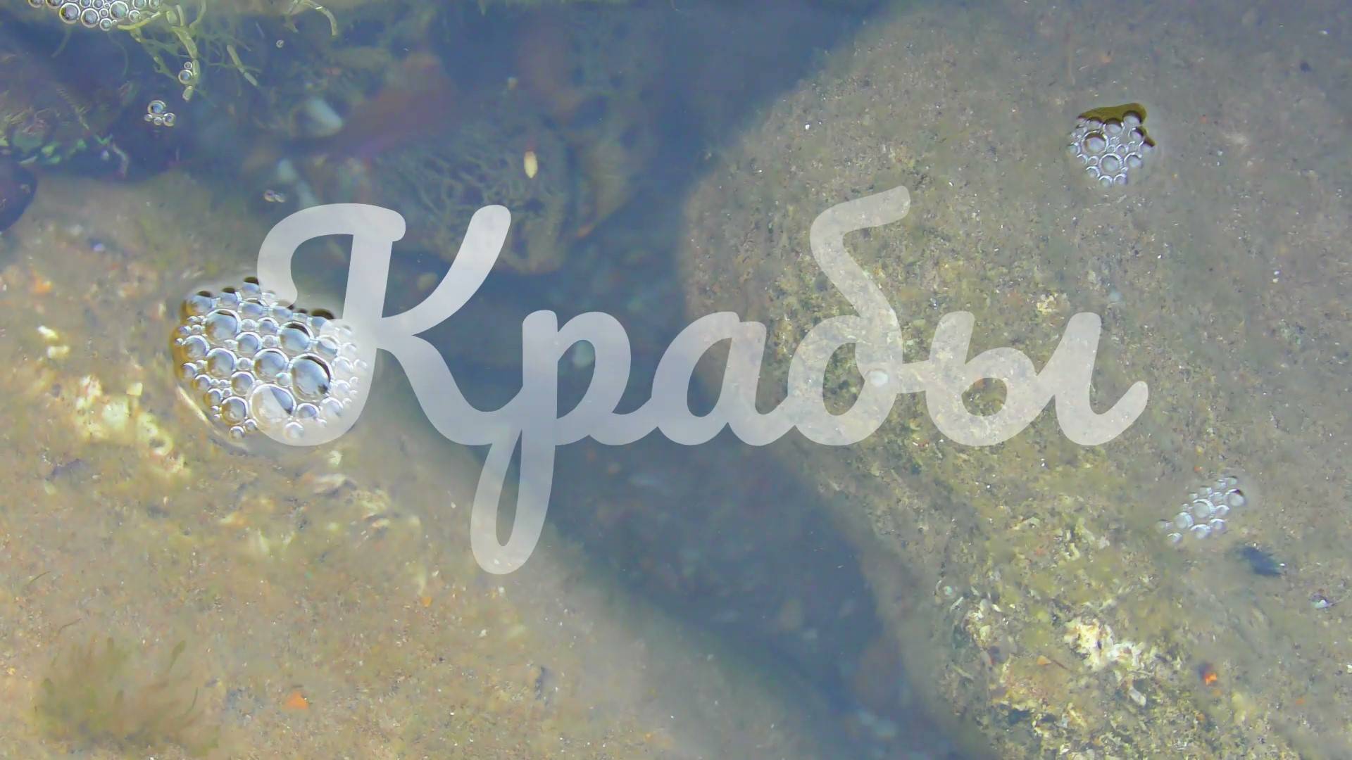 Крабы