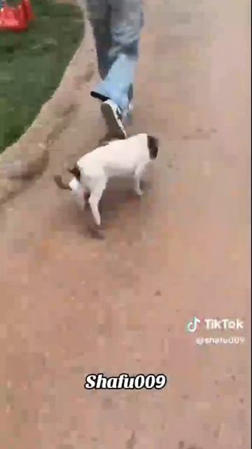 VID_20250618_213900_019.mp4