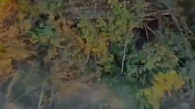💥Бои в Харьковской области: уничтожение вражеской гаубицы !!!