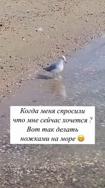 КОГДА МЕНЯ СПРОСИЛИ, ЧТО МНЕ СЕЙЧАС ХОЧЕТСЯ?