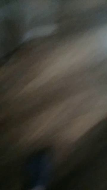 Я не знал где просто напросто где был Тиша мы с Ксюшей кошка понековали в тут раз 🤣🤣🤣
