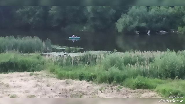 ребята, смотрите в небо почаще! ведь большую часть жизни мы только смотрим под ноги.