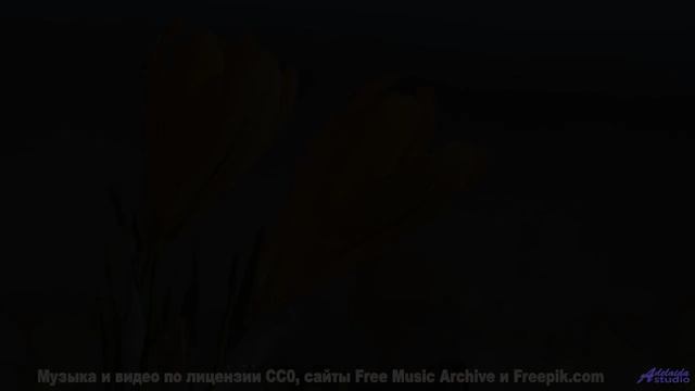 Музыка рисует на небе больше, чем краски - Expansion -- Ihsan + The Cabinet of Dr. Caligari -- Unnam