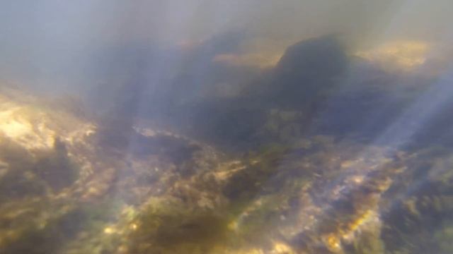 Stereo ASMR sounds of a SMALL RIVER