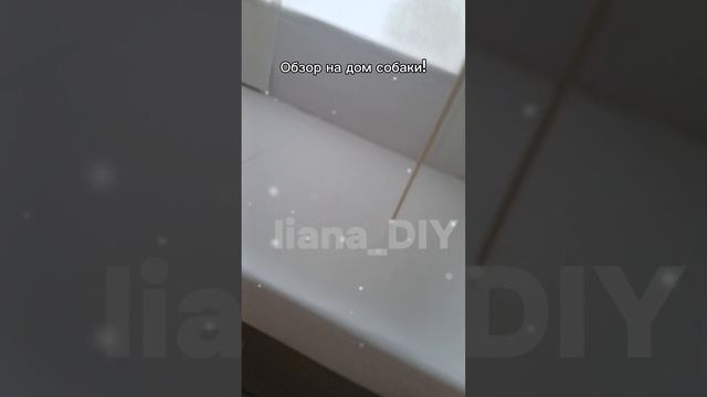 ОБЗОР НА ДОМ СОБАКИ ЛАКИ!💓
Я ВЕРНУЛАСЬ?
#БУМАЖНЫЕ СОБАКИ