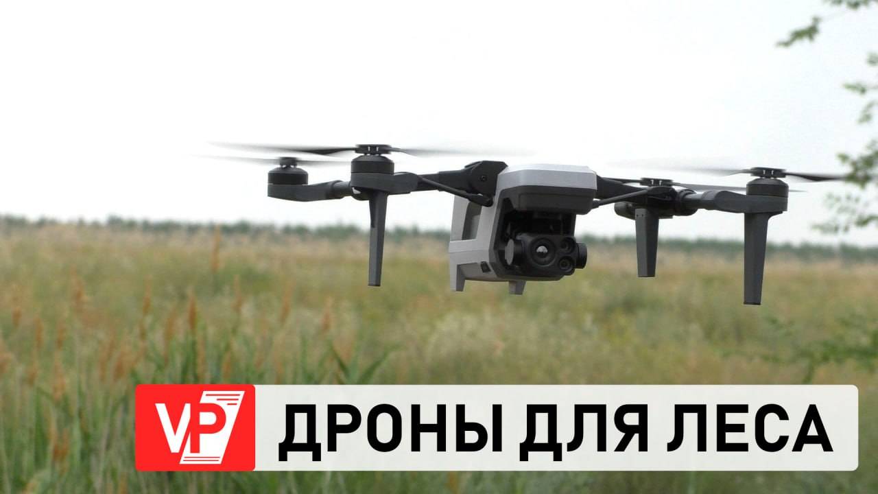В ВОЛГОГРАДСКОЙ ОБЛАСТИ ИСПОЛЬЗУЮТ БПЛА ДЛЯ БОРЬБЫ С НЕЗАКОННЫМИ ВЫРУБКАМИ