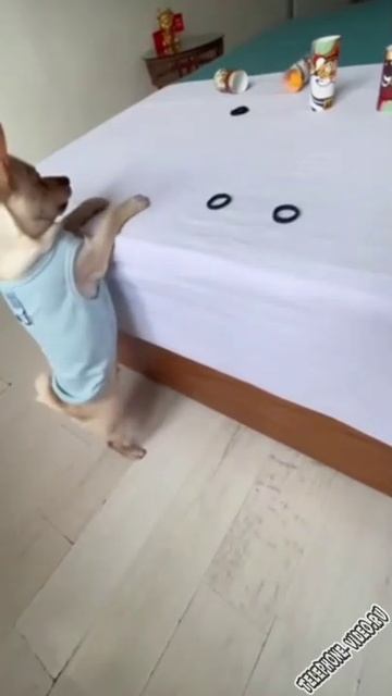 ВОТ ТАК) ))))