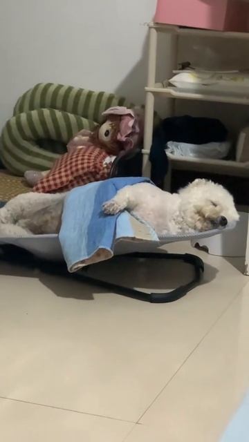 sleep doggo