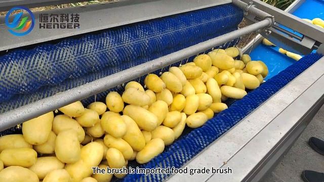Линия для мойки, чистки и полировки картофеля от HENGER Россия