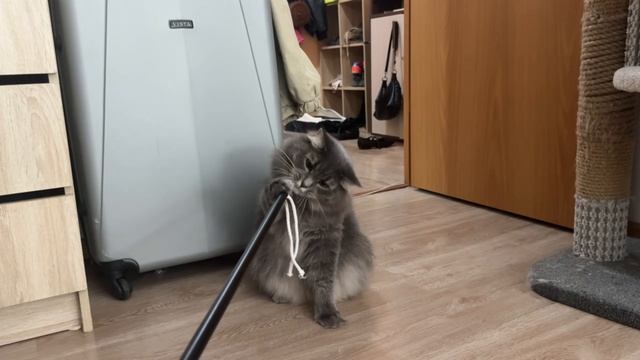 Самый ловкий
