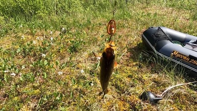 Реки и озëра Архангельской области.