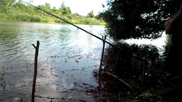Река Медведица Михайловка180625г