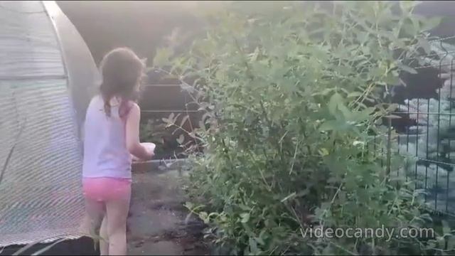 Яркий Я