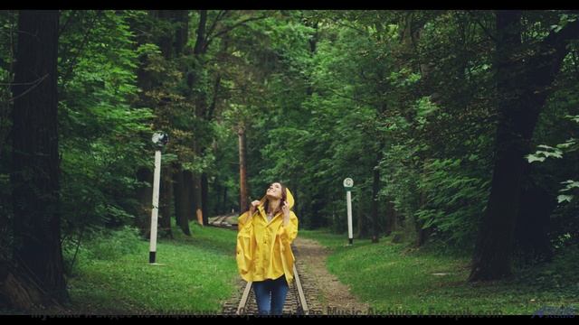 Видео, которое можно понять только с чипом в мозге - или можно - Meditation On Love -- Kirk Osamayo