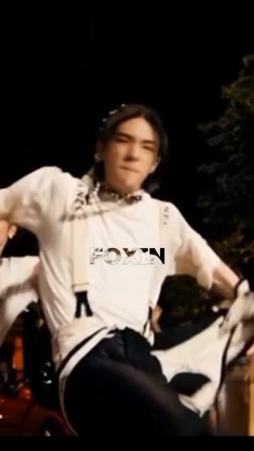 stray kids foxIN