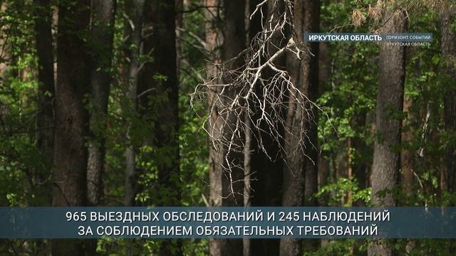 Объём незаконных рубок леса снизился в Приангарье
