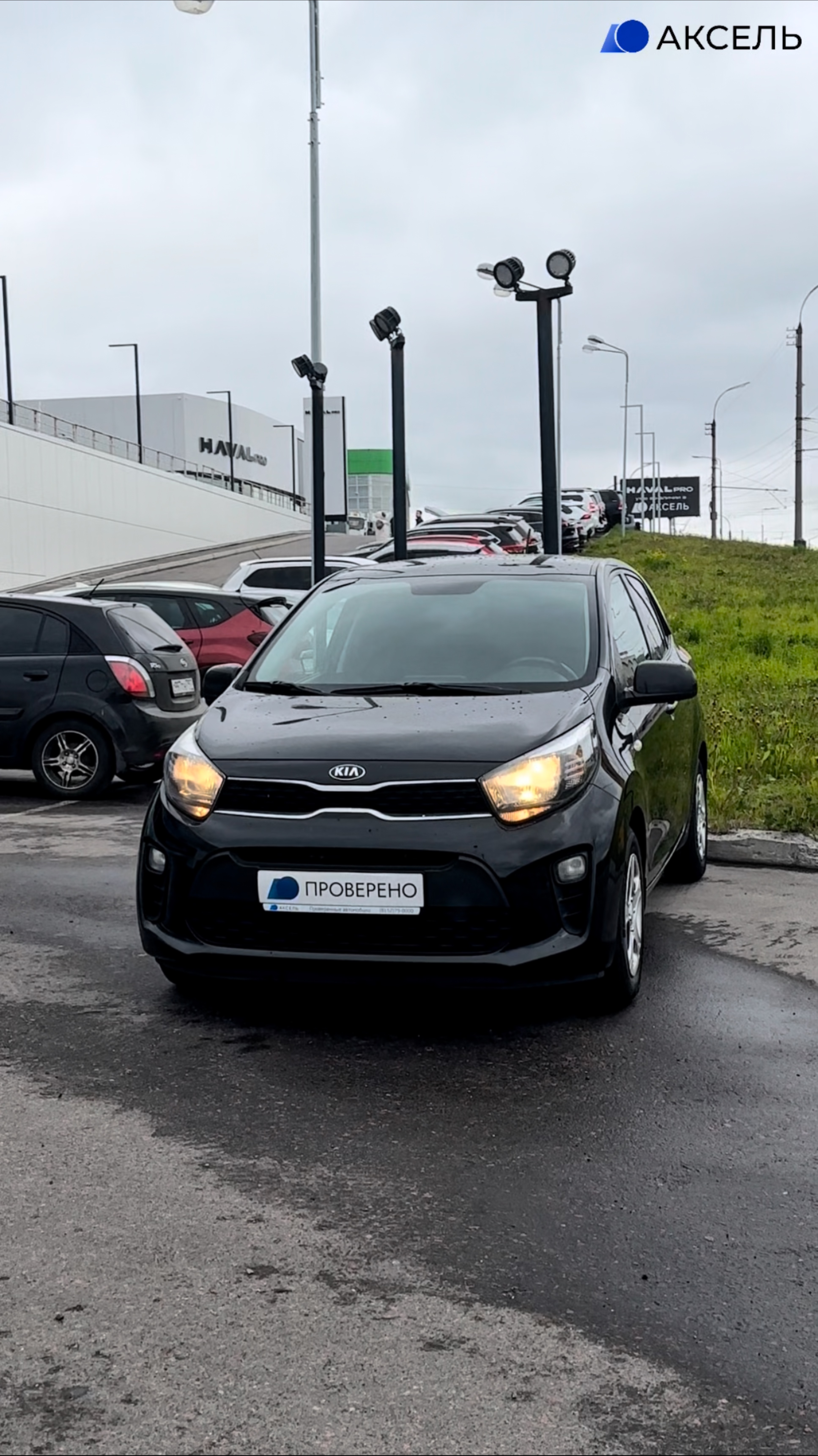 Аксель. Проверенные автомобили / KIA PICANTO , 2019
