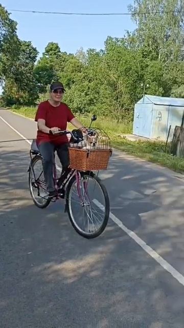 СОБАКЕН НА ВЕЛОСИПЕДЕ!