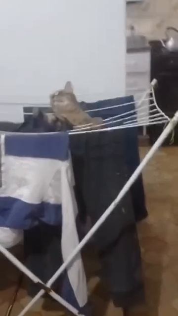 Титаник продолжение)))