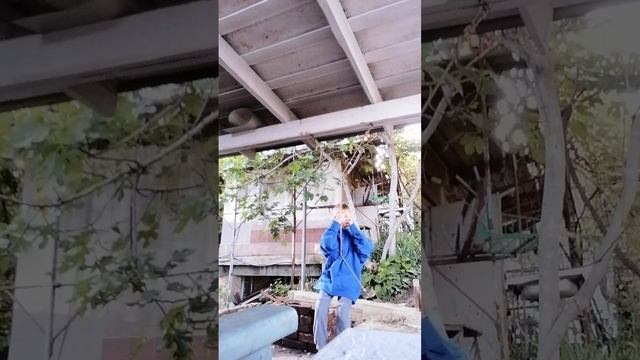 Крутимся на качели быстрее и эпичнее под 100 км/ч