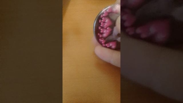 1000013775.mp4
