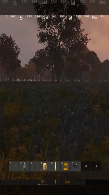 МИЛЫЕ КОТИКИ в DayZ #котики #dayz #stalkerrp #stalker #cat #cute #video #oneshot #сталкер #дейз