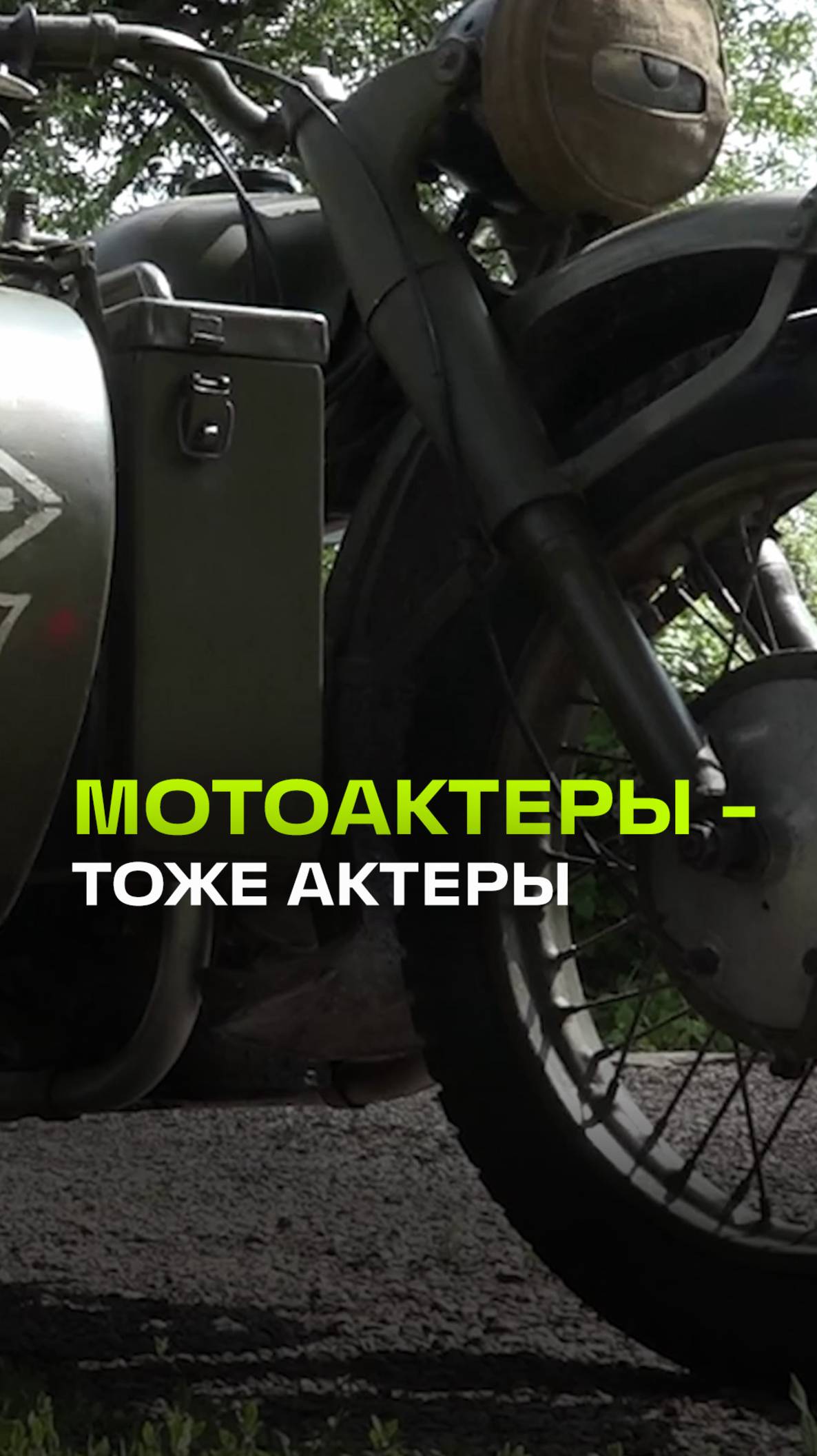 Кто сказал, что актерская карьера только для людей?