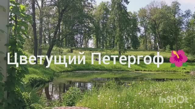 Цветущий Петергоф 🌺