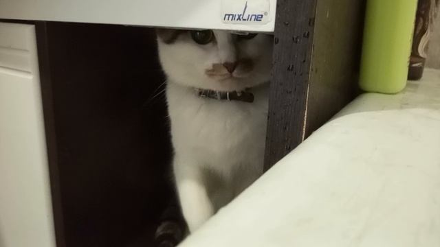 1000001927.mp4