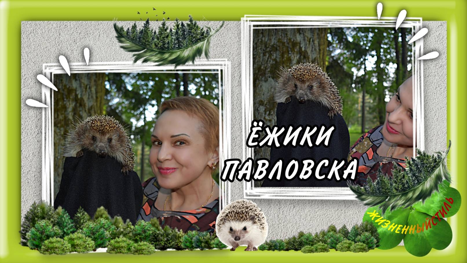 ЁЖИКИ ПАВЛОВСКА Санкт-Петербург