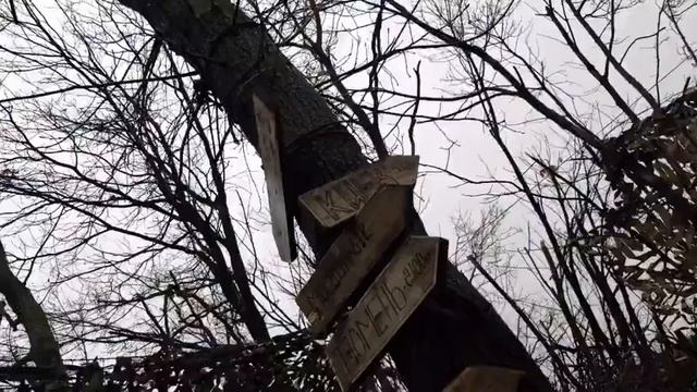 ‼️Разведчики бригады «Терек»: они выбрали путь служения России и ежедневно доказывают свою доблесть
