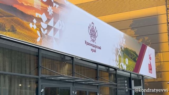 Кондратьев: традиционно представляем на ПМЭФ потенциал Краснодарского края