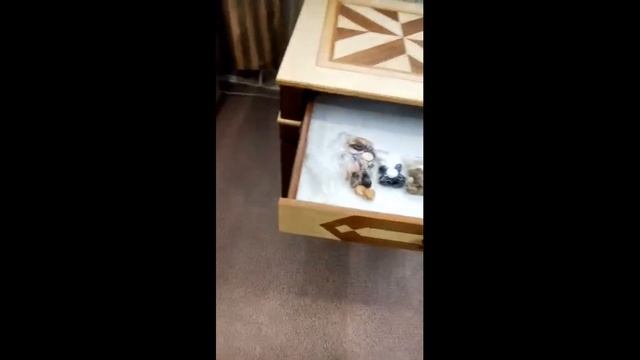 Столик шахматы нарды Моренго