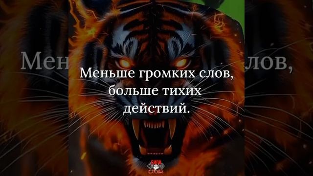 Сильные цитаты
